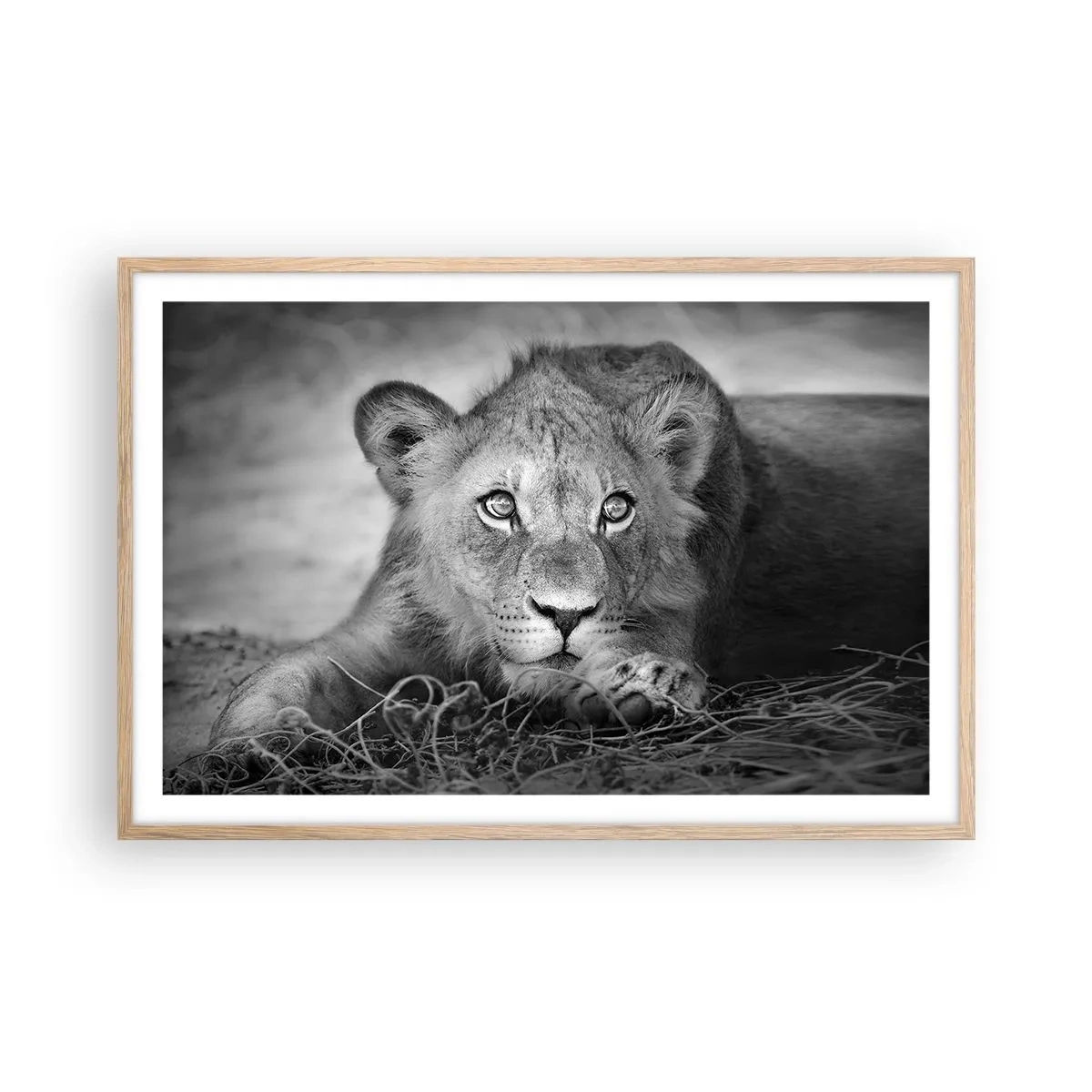 Poster in light oak frame - Royal Puppy - 91x61 cm