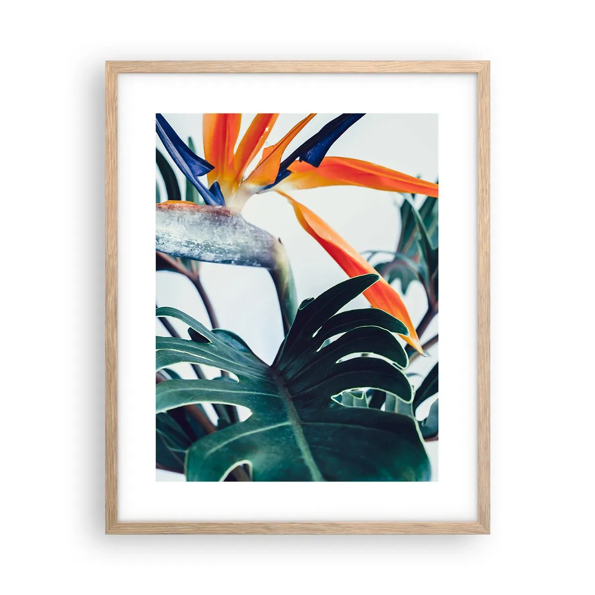 Poster in light oak frame - Birdy Bush - 40x50 cm