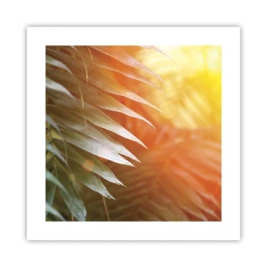 Poster - Morning in the Jungle - 40x40 cm