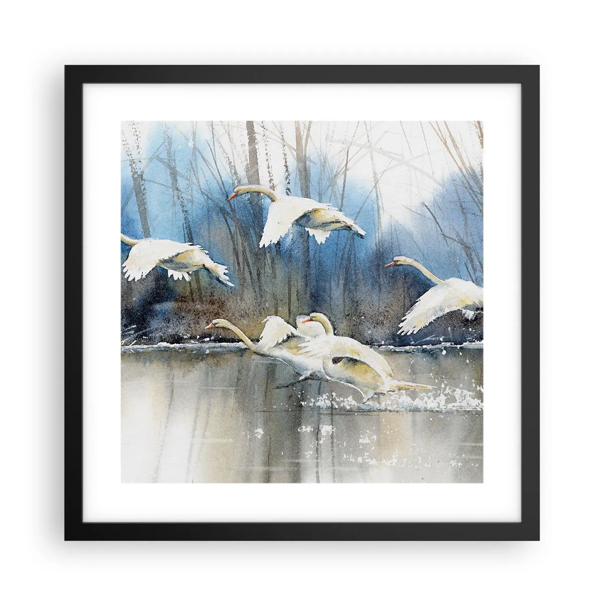 Poster in black frame - Like in a Fairy Tale about Wild Swans - 40x40 cm