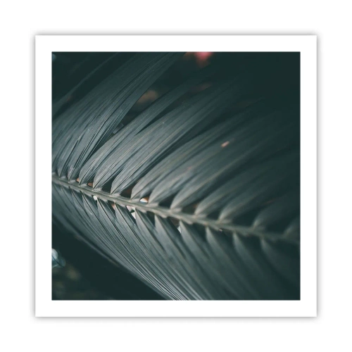 Poster - Precision of Nature - 60x60 cm