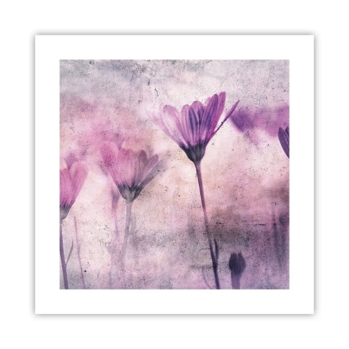 Poster - Dream of Flowers - 40x40 cm