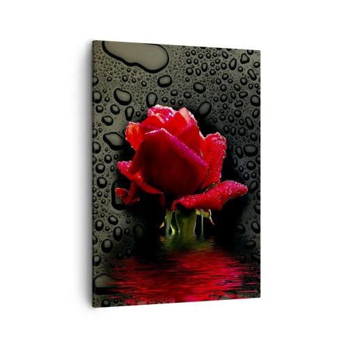 Canvas picture - Red and Black - 50x70 cm