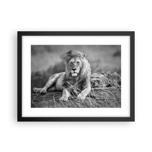 Poster in black frame - Royal Siesta - 40x30 cm