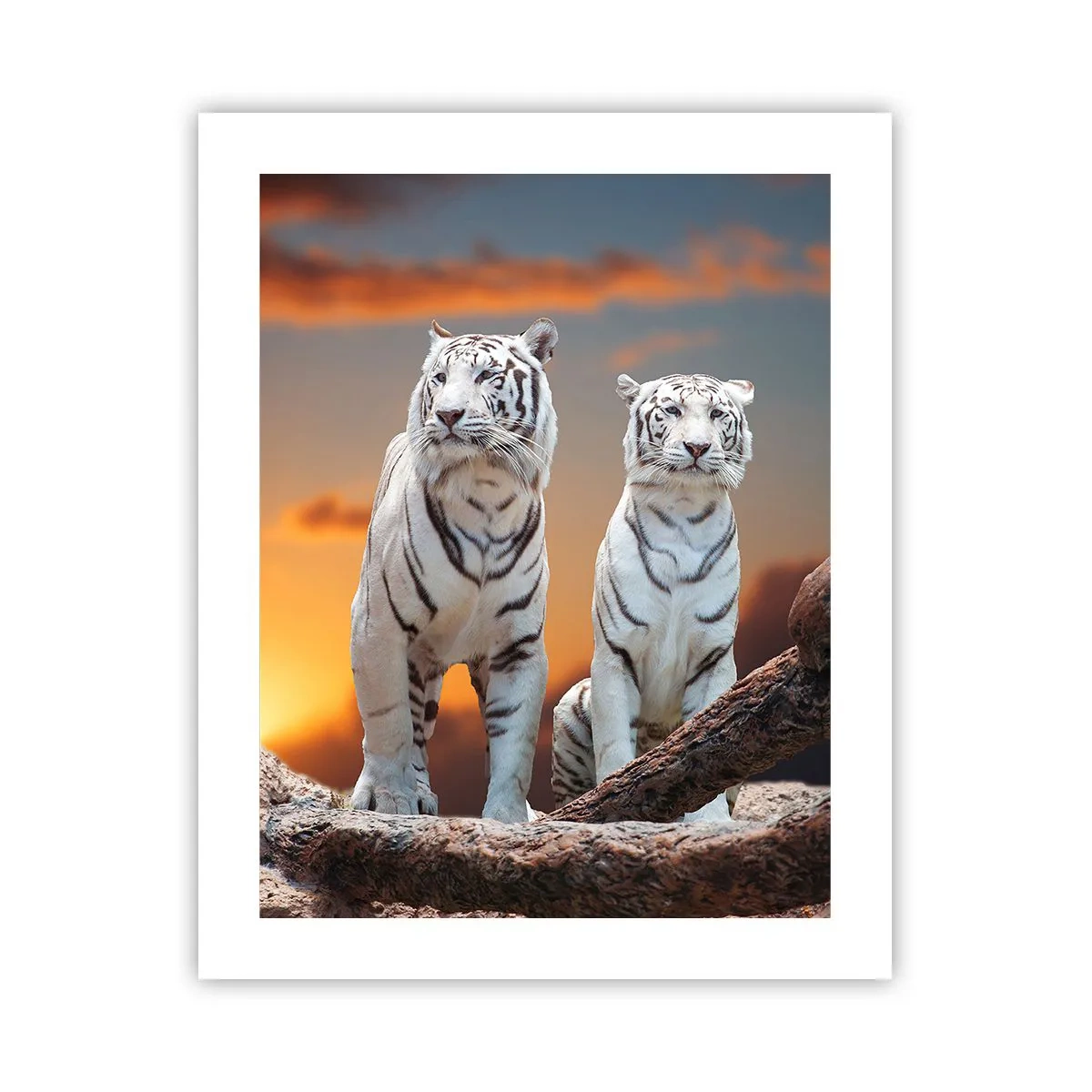 Poster - Just Like in Narnia - 40x50 cm