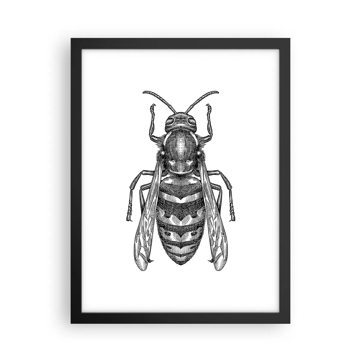 Poster in black frame - From Insect Planet - 30x40 cm