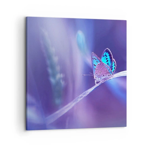 Canvas picture - Jewel of Nature - 60x60 cm