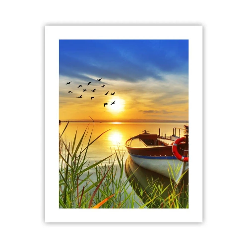 Poster - Cormorants Are Flying Away - 40x50 cm