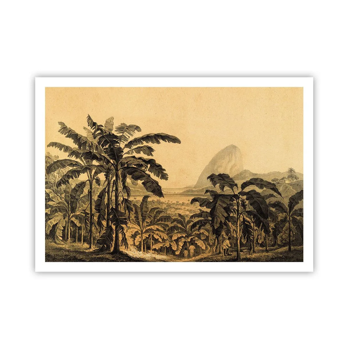 Poster - In Colonial Character - 100x70 cm