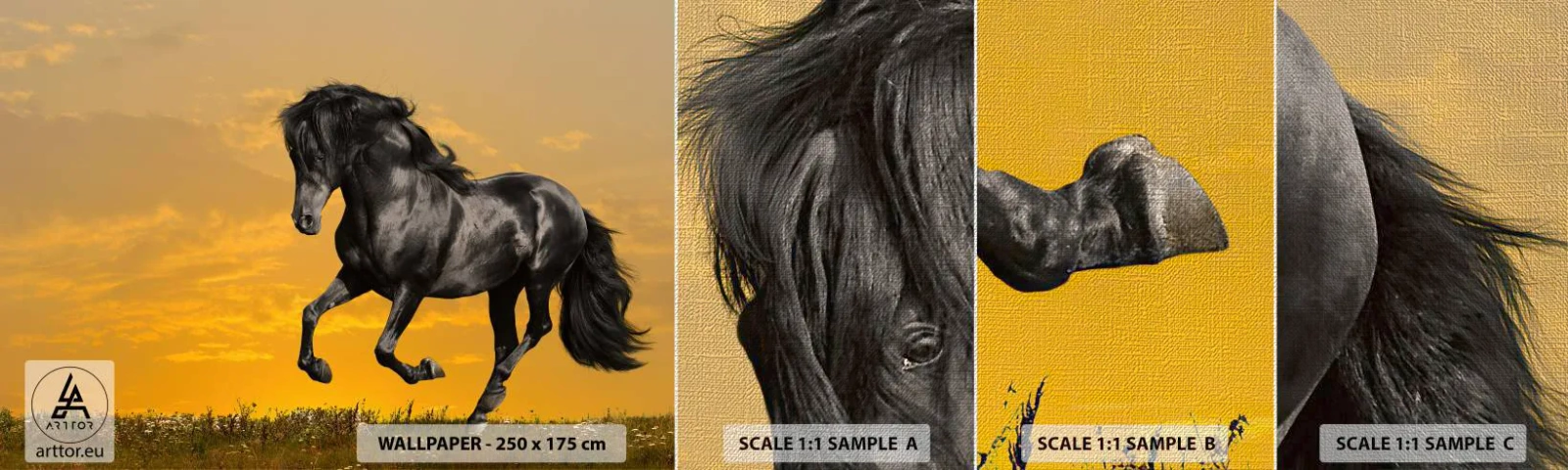 Photo Wallpaper Sample Premium Canvas - Beautiful, Free and Wild - Animals, Horse, Landscape - 100x30 cm