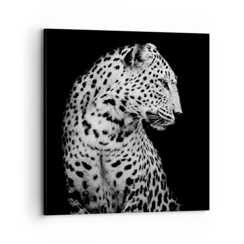 Canvas picture - A Perfect Right Profile - 70x70 cm