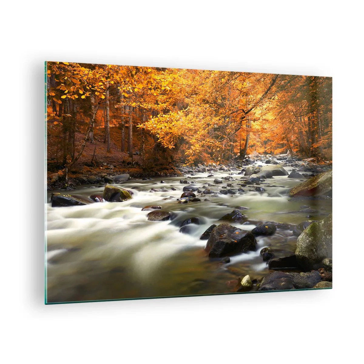 Glass picture - Autumn forest with a stream and stones - 70x50cm - Brook in a Golden Forest - Modern wall decoration for the living room and bedroom ARTTOR