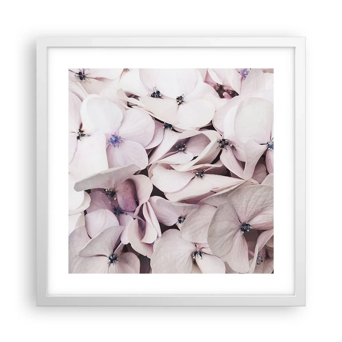 Poster in white frmae - In the Flood of Flowers - 40x40 cm