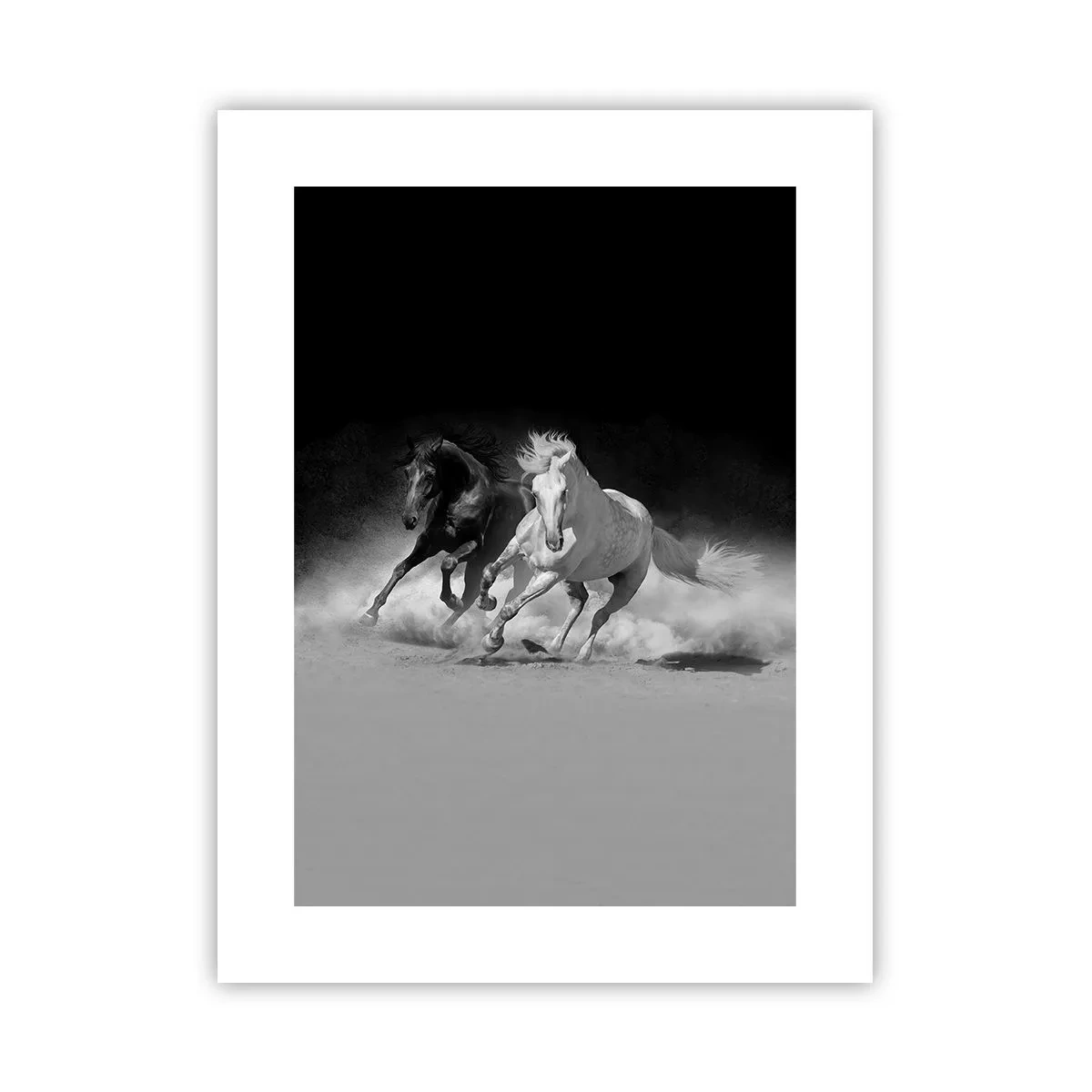 Poster - Gallop of Freedom - 30x40 cm