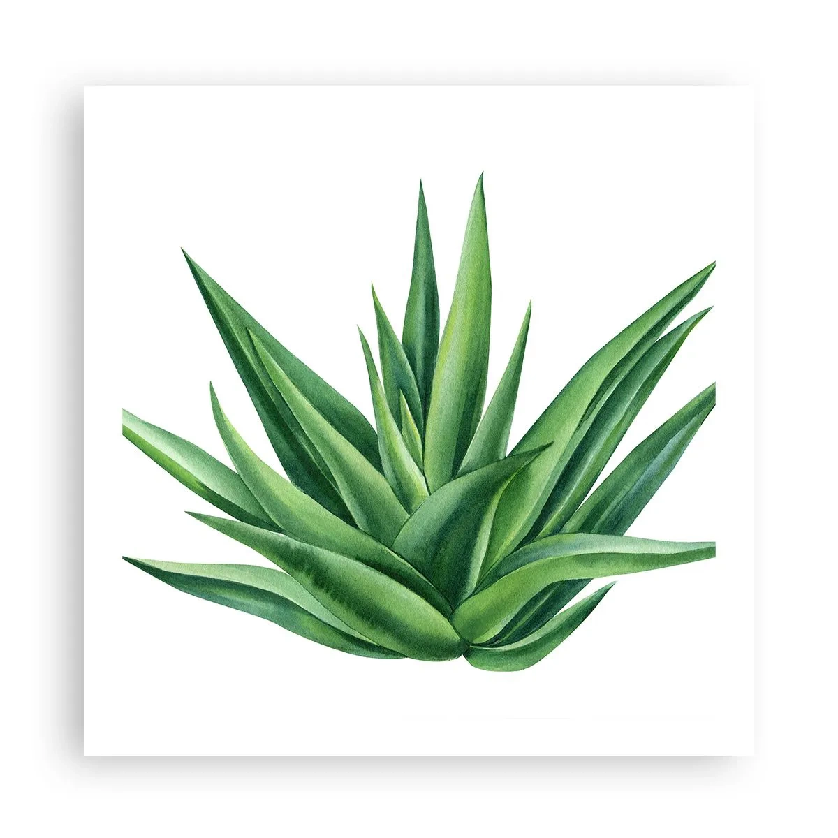 Poster - Green - Power - Life - 60x60 cm
