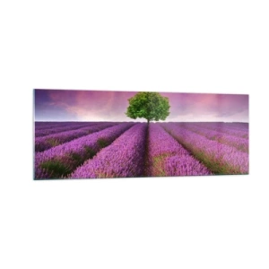 Glass picture - In the Fields of Lavender - 140x50 cm