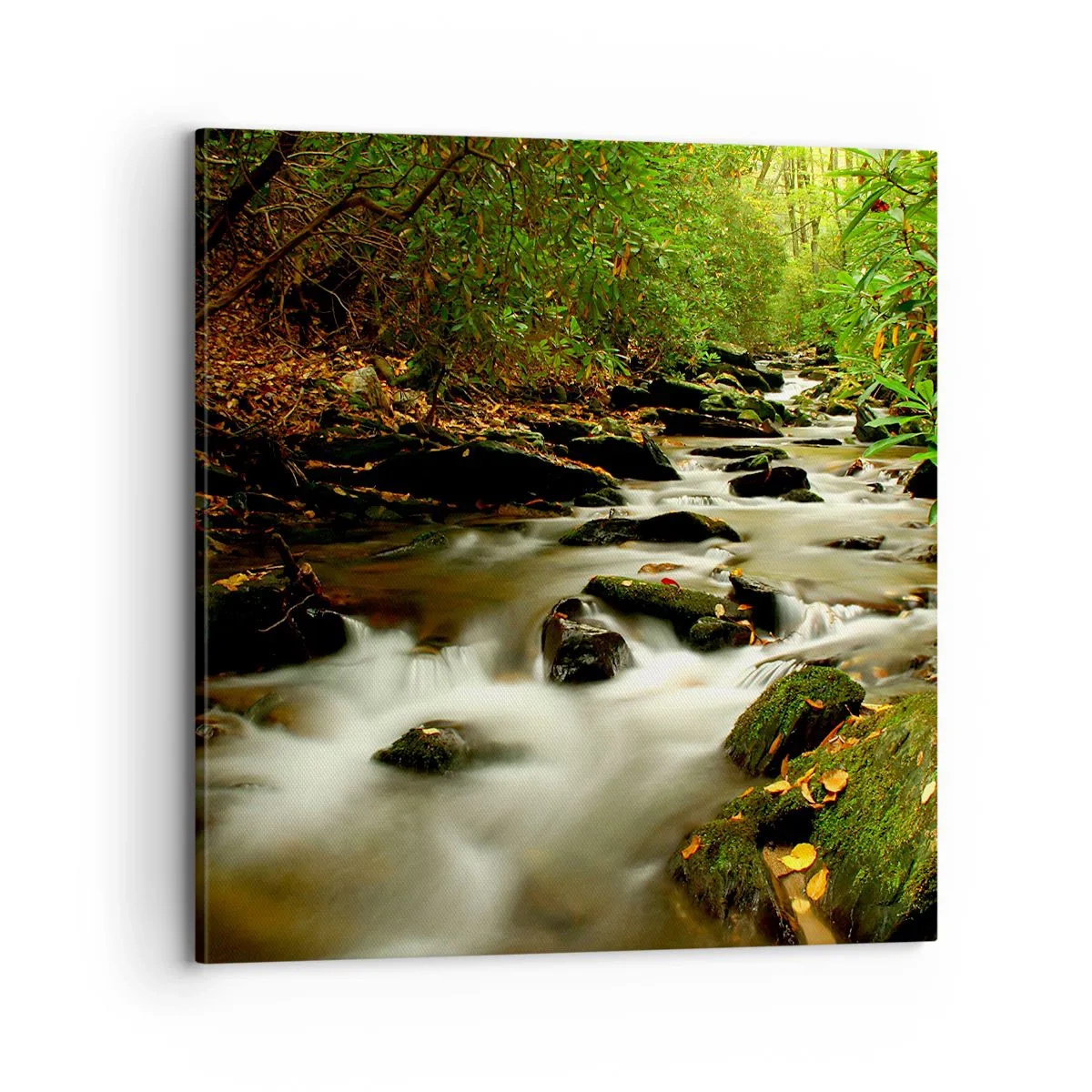 Canvas picture - Like Live Wire - 70x70 cm