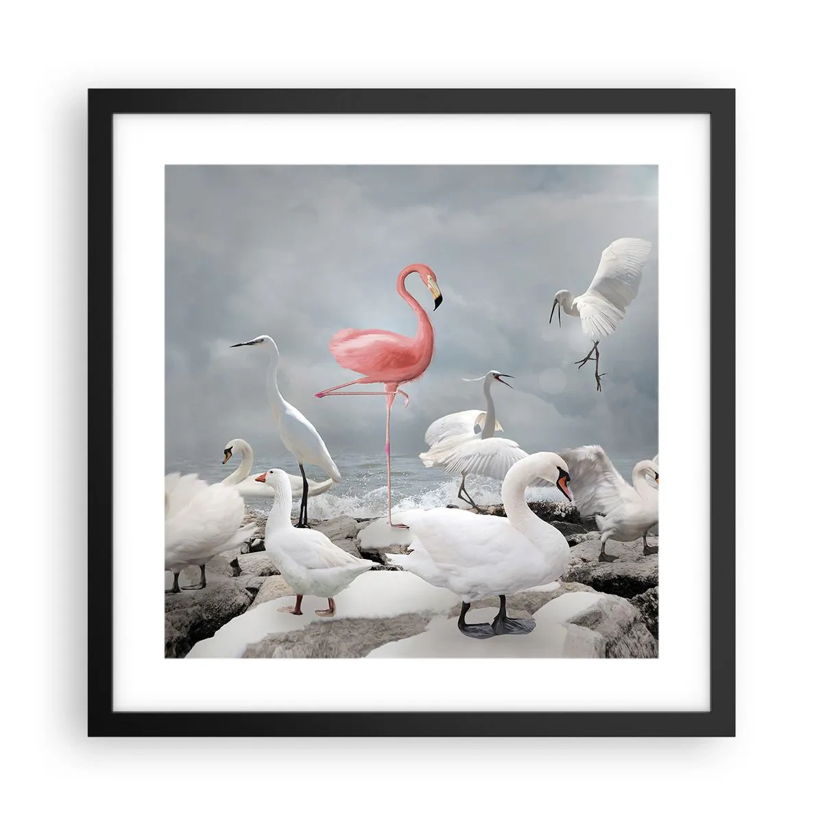 Poster in black frame - Where Did I Come from? - 40x40 cm