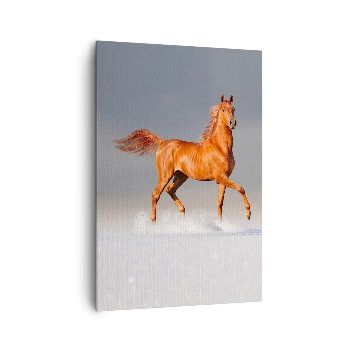 Canvas picture - Dancing Grace - 70x100 cm