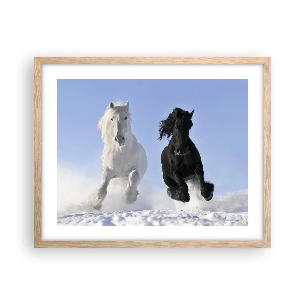 Poster in light oak frame - Black and White Gallop - 50x40 cm