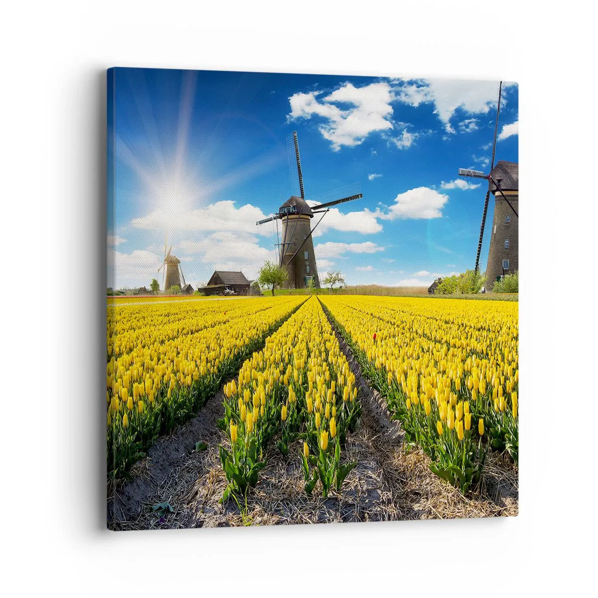 Canvas picture - It Can't Be More Dutch - 40x40 cm