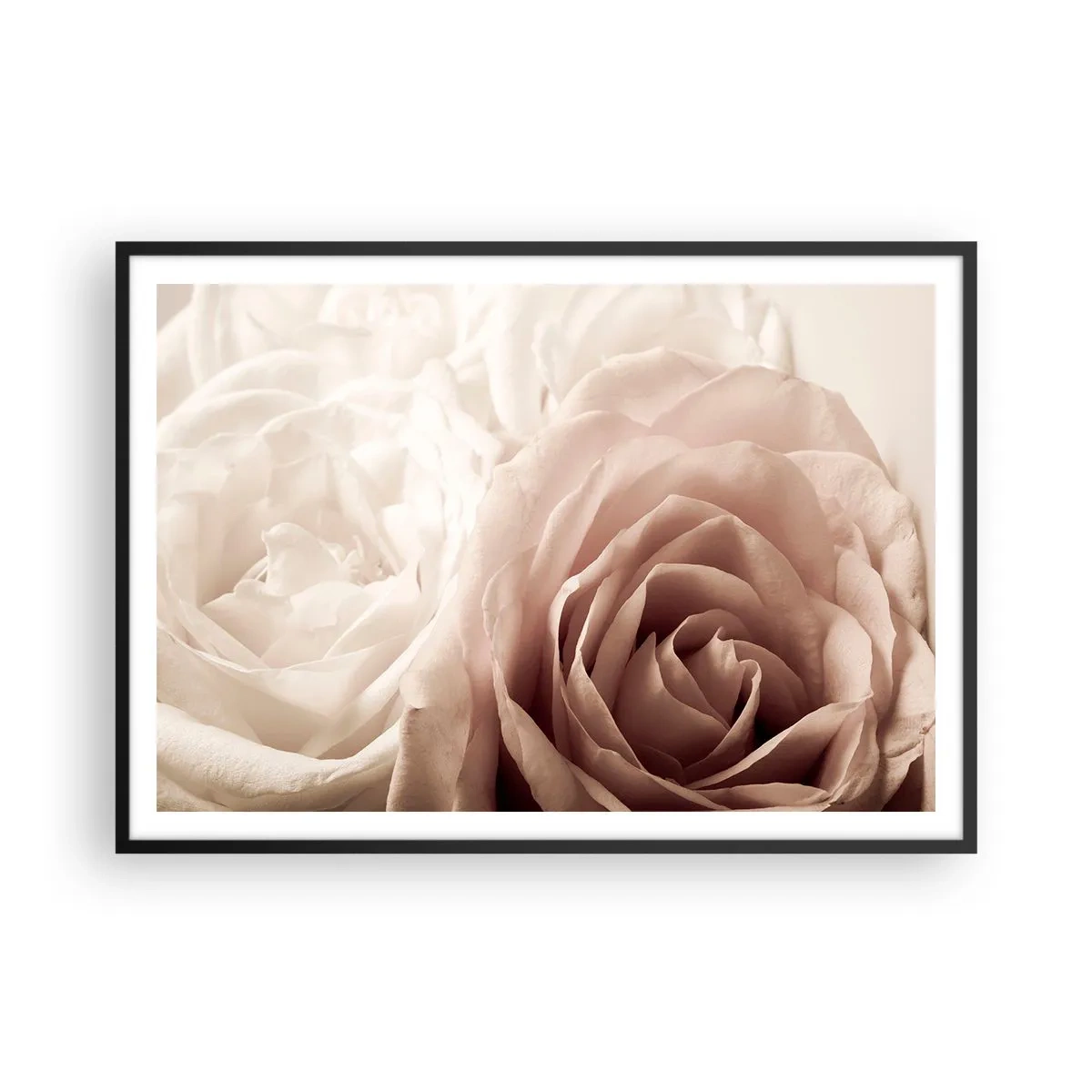 Poster in black frame - In the Heart of a Rose - 100x70 cm