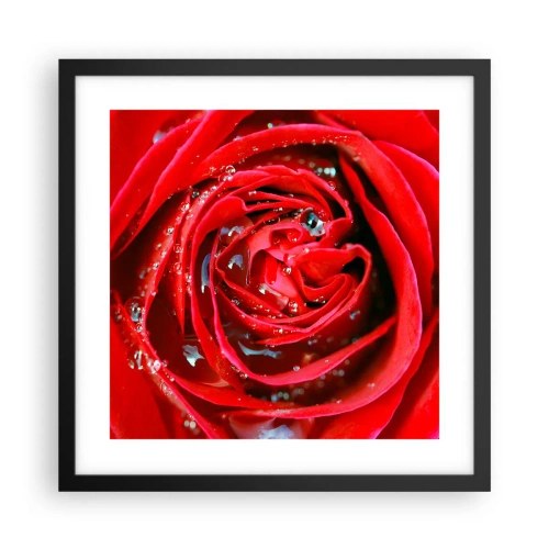 Poster in black frame - In Dew Drops - 40x40 cm