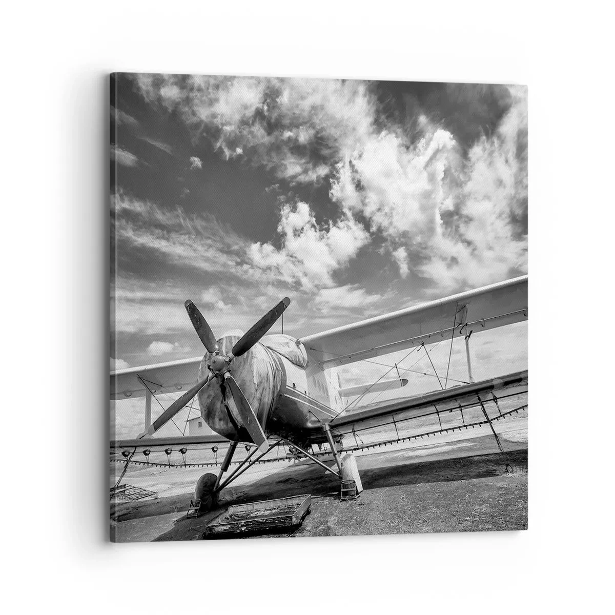 Canvas picture - I Can't Wait! - 70x70 cm