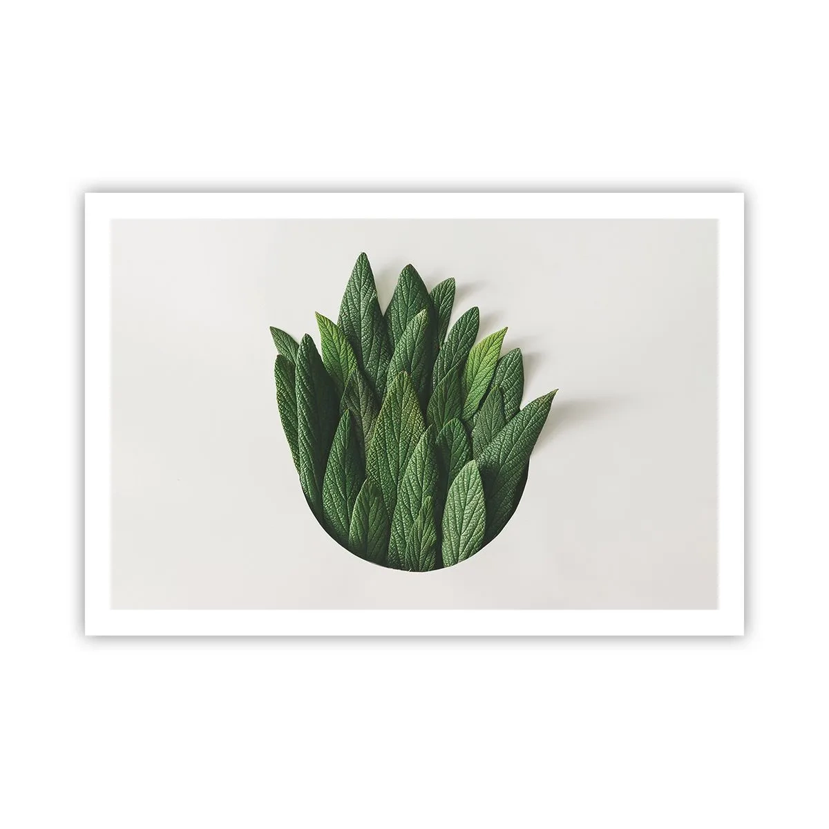 Poster - Untamed Curiosity - 91x61 cm