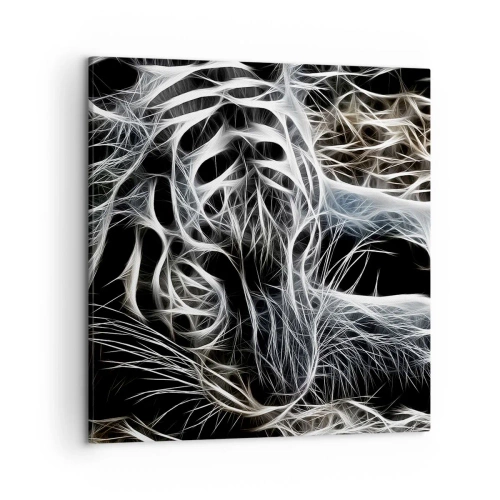 Canvas picture - Study in Lightness of Cats - 50x50 cm