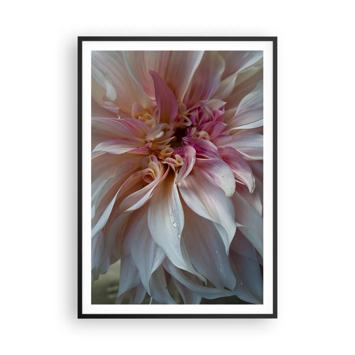 Poster in black frame - Blooming Freshness - 70x100 cm