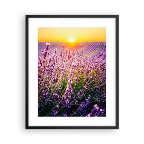 Poster in black frame - Fragrant Field - 40x50 cm
