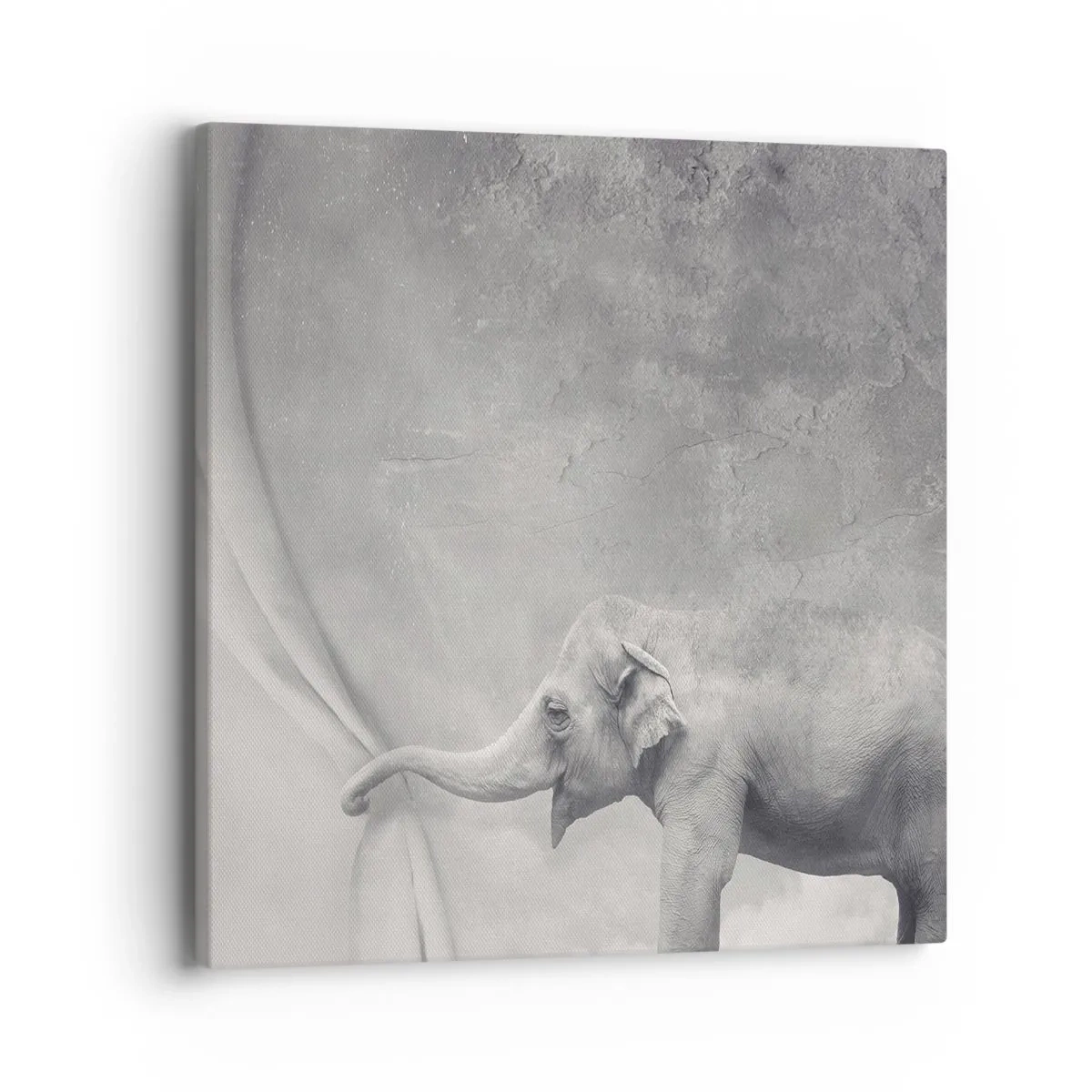 Canvas picture - Uncover the Secret - 40x40 cm