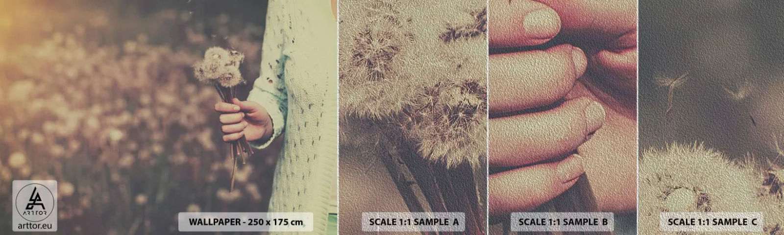 Photo Wallpaper Sample Premium Sand - Stop Them, Please - Dandelion, Meadow, Nature - 100x30 cm