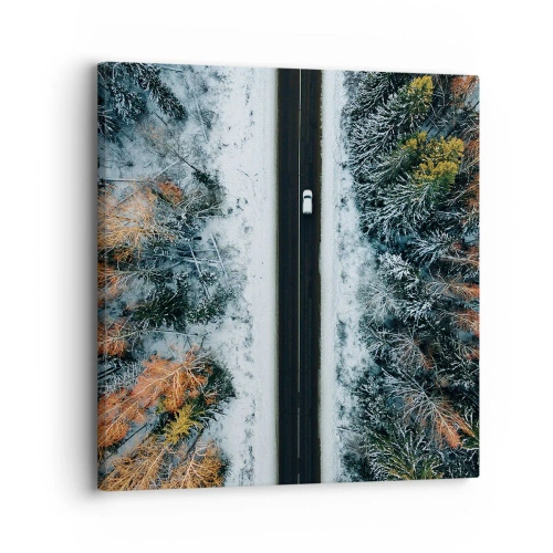 Canvas picture - Through a Wintery Forest - 30x30 cm