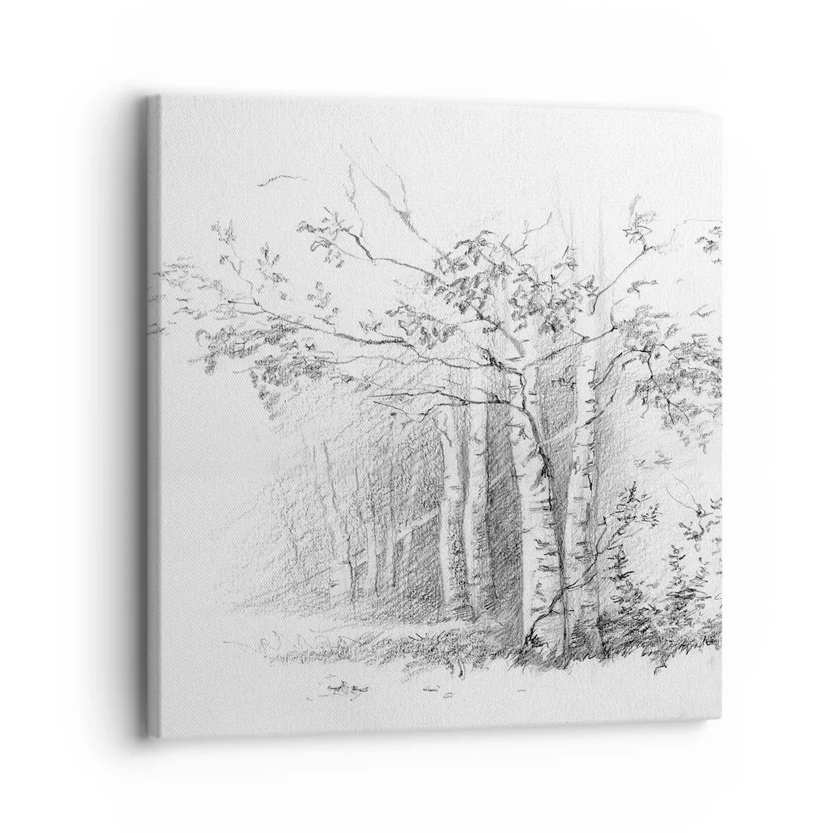 Canvas picture - Holiday of Birch Forest - 30x30 cm