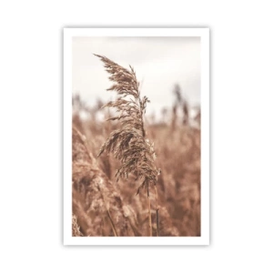 Poster - Autumn Has Arrived in the Fields - 61x91 cm