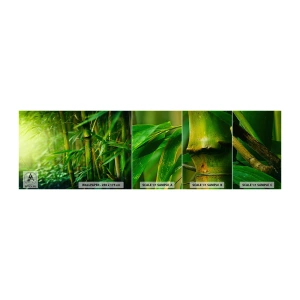 Photo Wallpaper Sample Standard Eco - Getting to Know the Green - Plant, Bamboo, Jungle - 100x30 cm