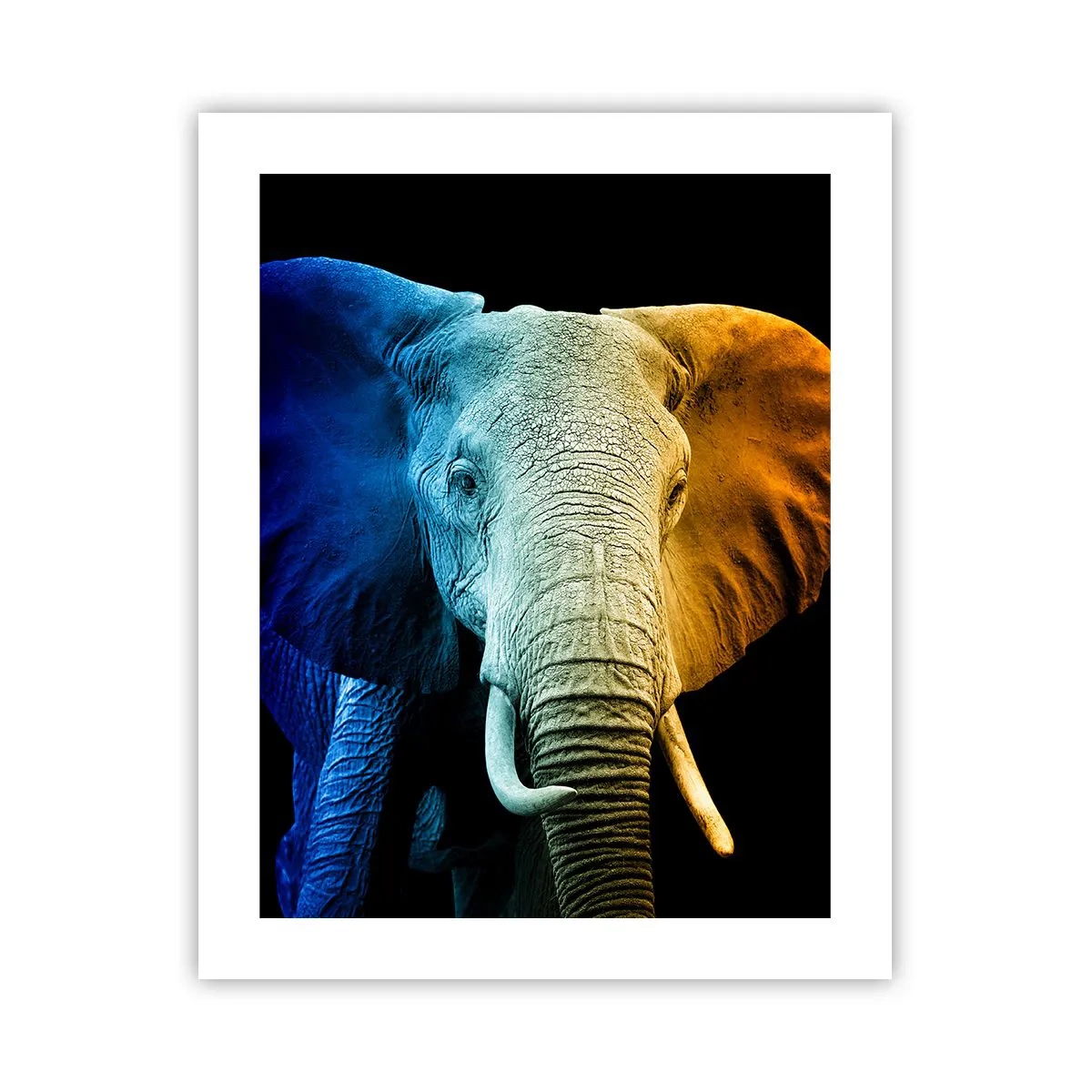 Poster - Eccentric, Not a Weirdo - 40x50 cm