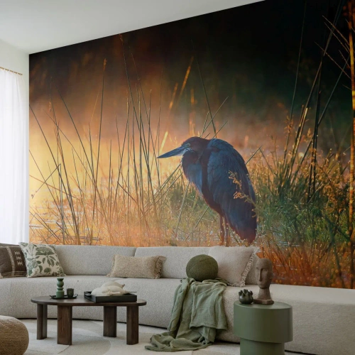 Photo Wallpaper Premium Canvas - Stop Taking Pictures - Heron, Bird, Nature - 150x105 cm