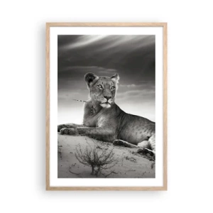 Poster in light oak frame - Queen of Desert Is Resting - 50x70 cm