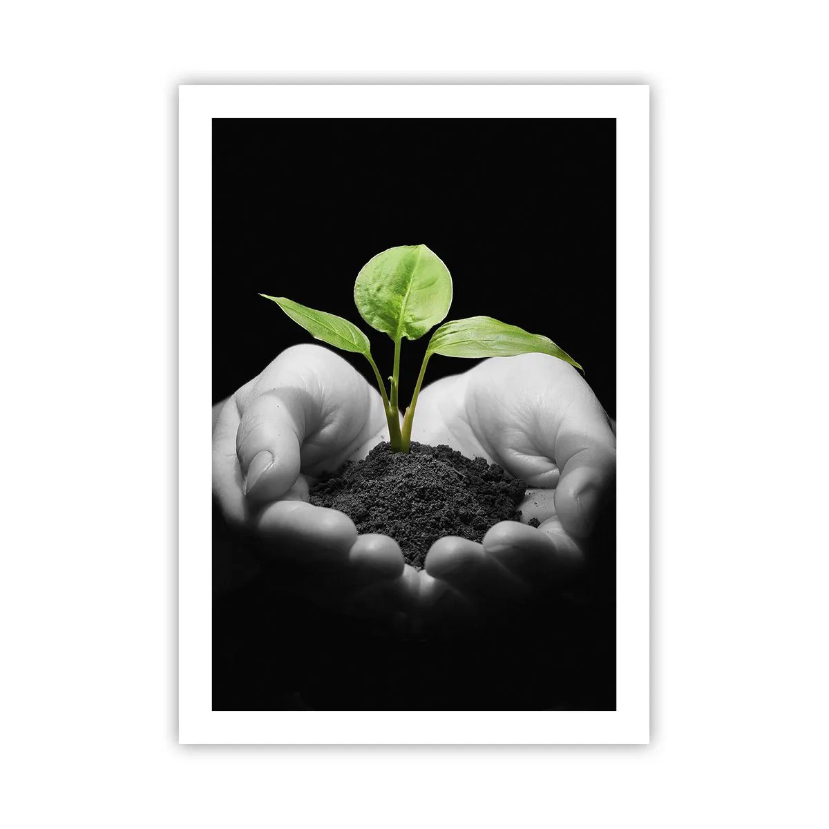 Poster - I Love Nature, I Protect It - 50x70 cm