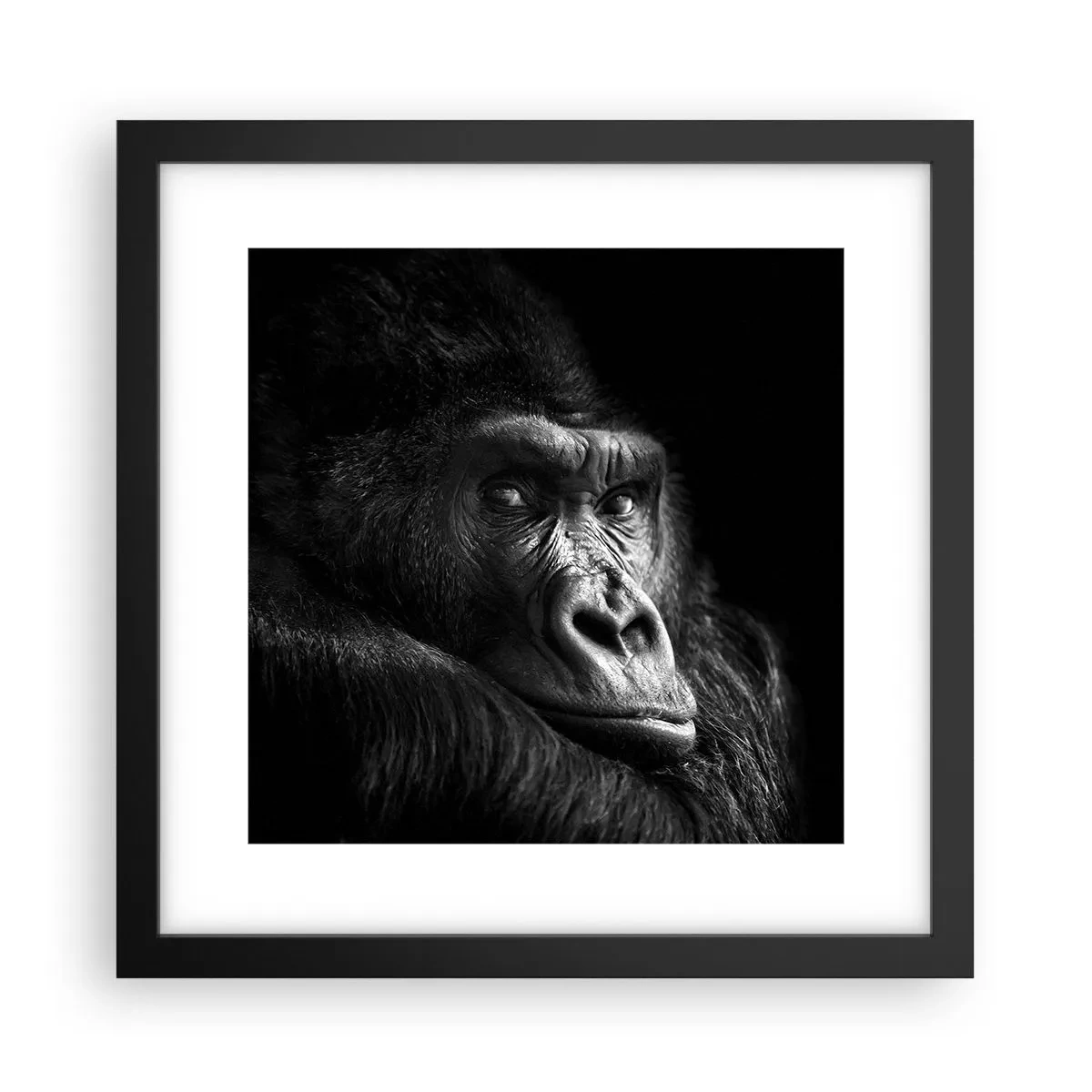 Poster in black frame - What Are You Looking At? - 30x30 cm