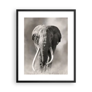 Poster in black frame - African Patriarch - 40x50 cm