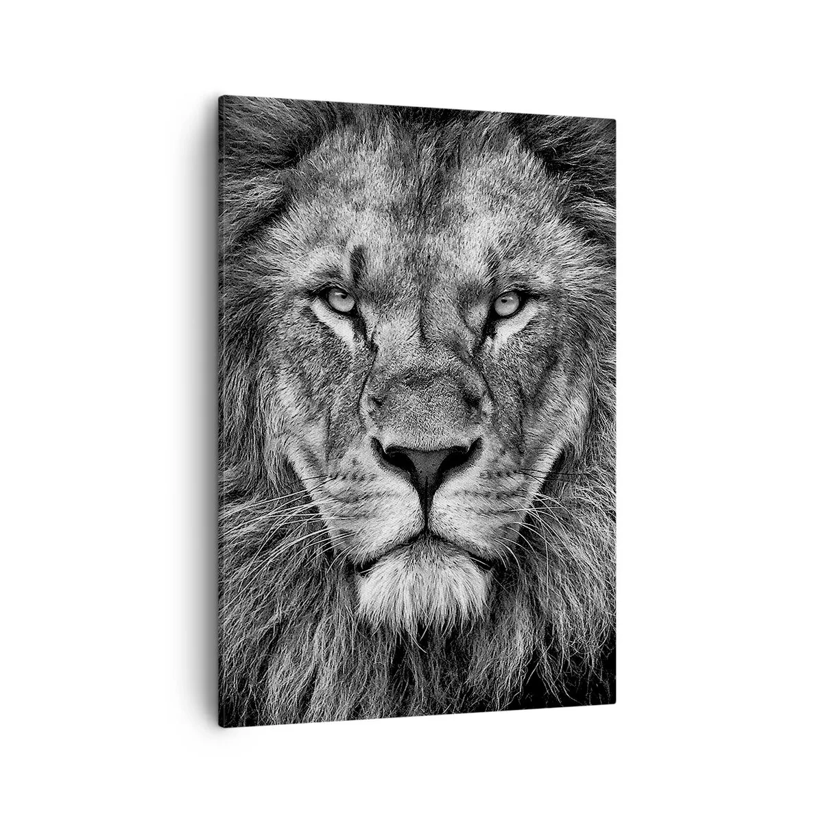 Canvas picture - In Coronation Clothes - 50x70 cm