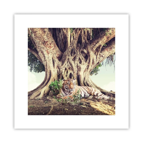 Poster - View from the Genesis - 30x30 cm