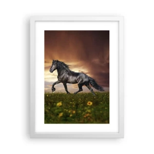 Poster in white frmae - Black Prince - 30x40 cm