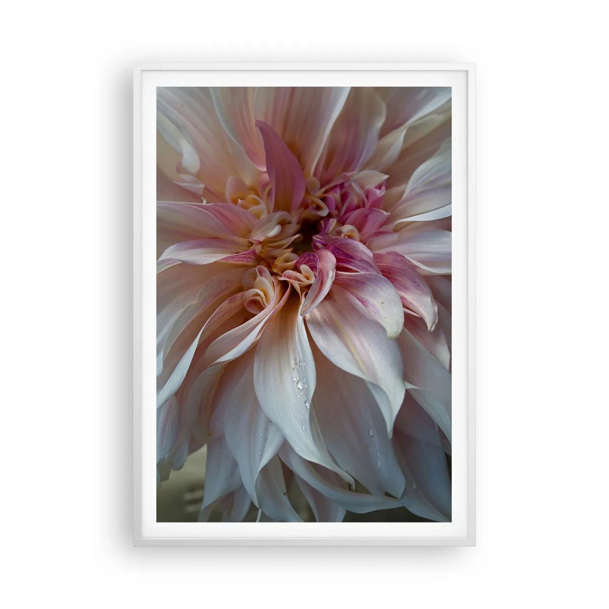 Poster in white frmae - Blooming Freshness - 70x100 cm