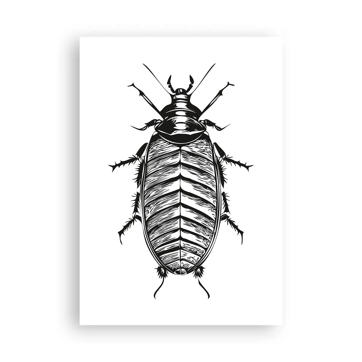 Poster - What a Specimen - 70x100 cm