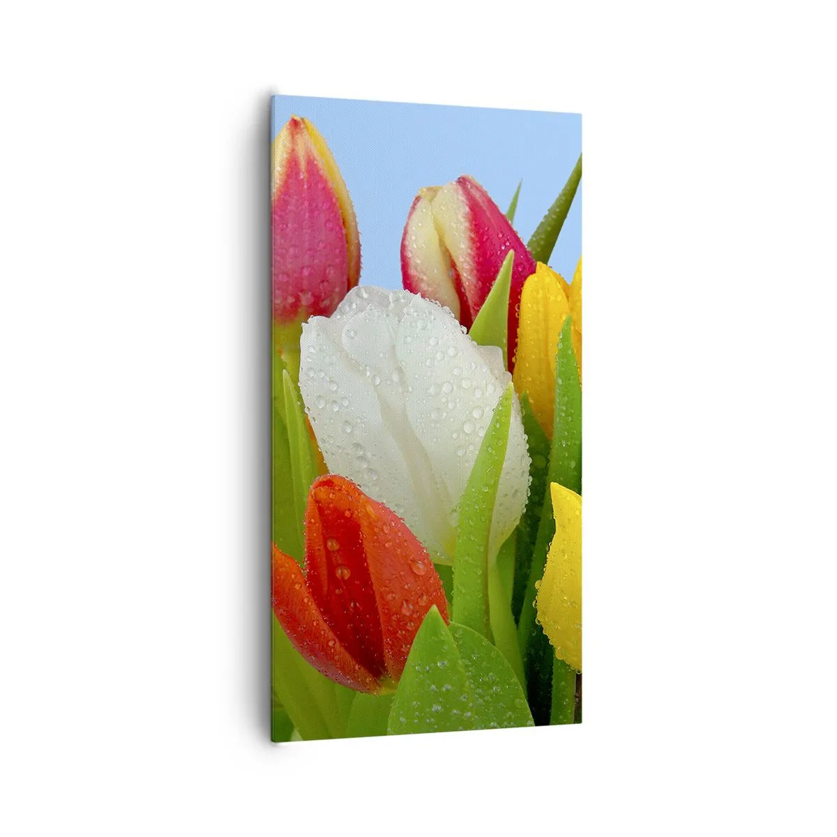 Canvas picture - Floral Rainbow in Dew Drops - 65x120 cm